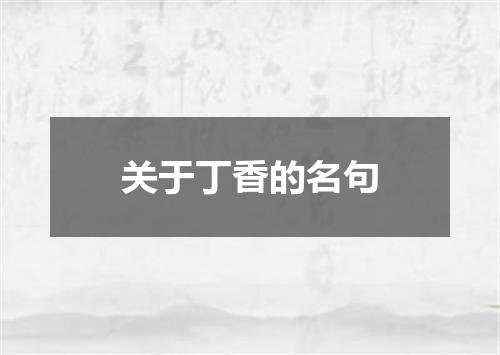 关于丁香的名句