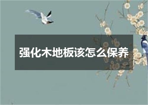 强化木地板该怎么保养