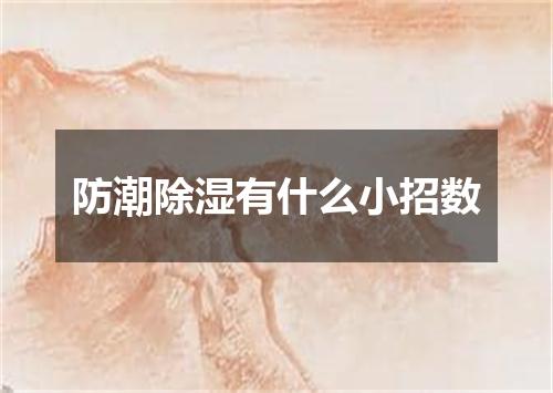 防潮除湿有什么小招数