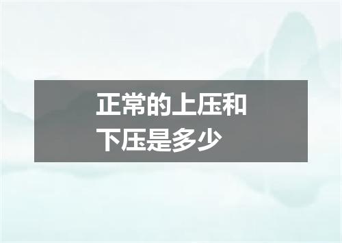 正常的上压和下压是多少