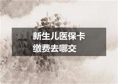 新生儿医保卡缴费去哪交