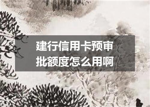 建行信用卡预审批额度怎么用啊