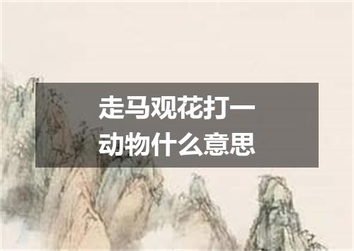 走马观花打一动物什么意思