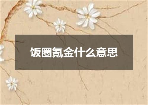 饭圈氪金什么意思