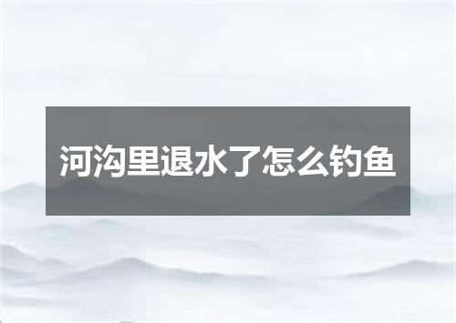 河沟里退水了怎么钓鱼