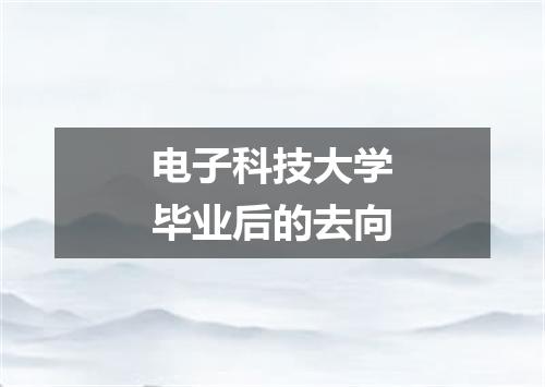 电子科技大学毕业后的去向