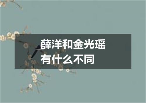 薛洋和金光瑶有什么不同