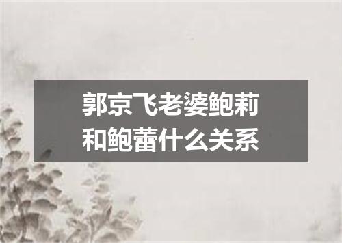 郭京飞老婆鲍莉和鲍蕾什么关系