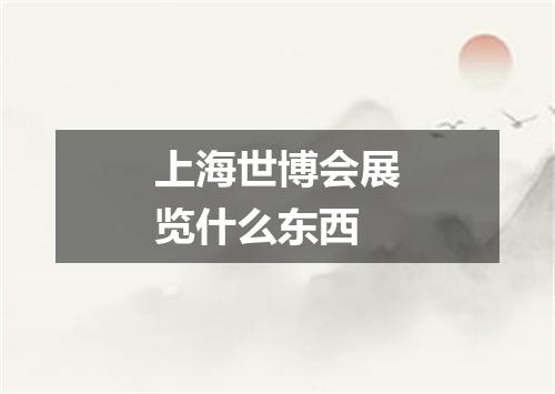 上海世博会展览什么东西
