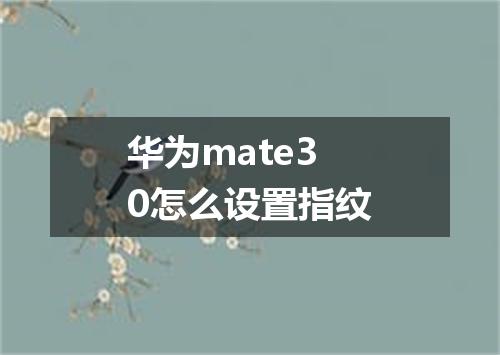 华为mate30怎么设置指纹