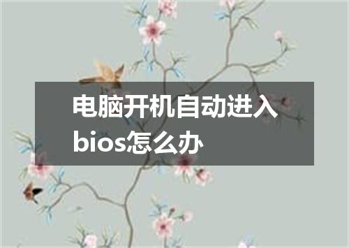 电脑开机自动进入bios怎么办