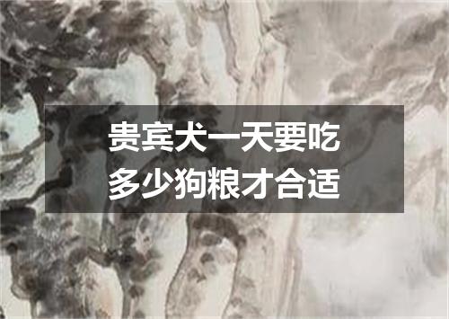 贵宾犬一天要吃多少狗粮才合适
