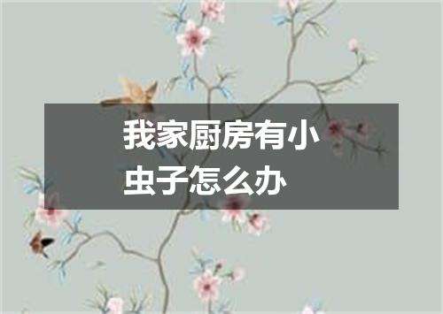 我家厨房有小虫子怎么办