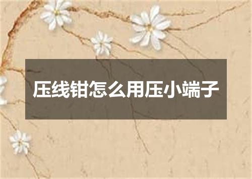 压线钳怎么用压小端子