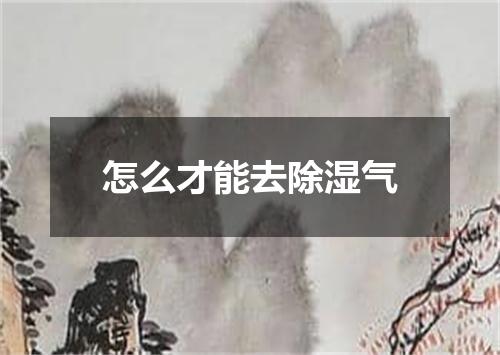 怎么才能去除湿气