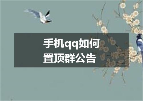 手机qq如何置顶群公告