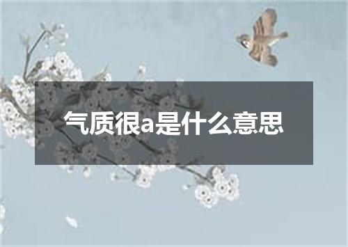 气质很a是什么意思