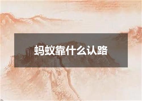 蚂蚁靠什么认路