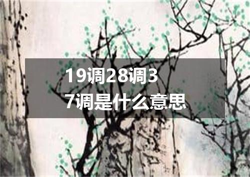 19调28调37调是什么意思