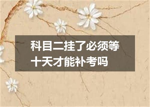 科目二挂了必须等十天才能补考吗