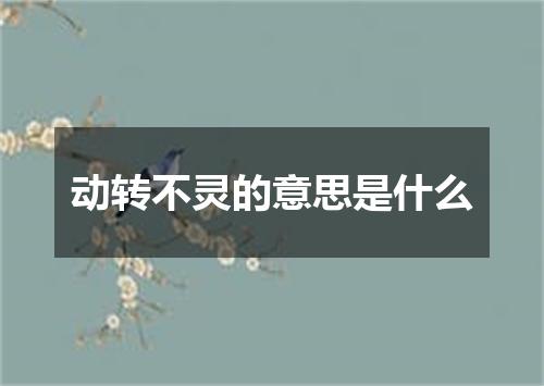 动转不灵的意思是什么
