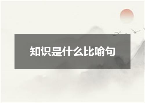 知识是什么比喻句