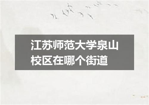 江苏师范大学泉山校区在哪个街道