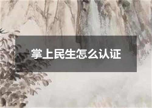 掌上民生怎么认证