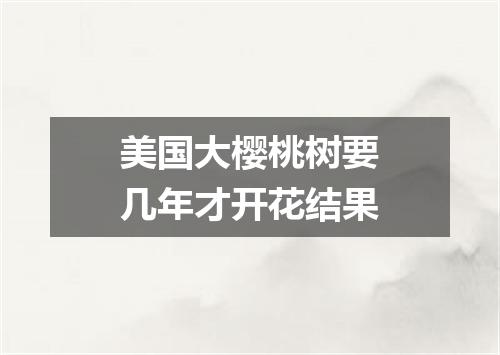 美国大樱桃树要几年才开花结果