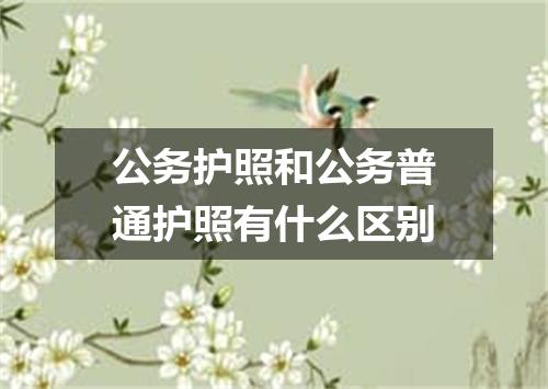 公务护照和公务普通护照有什么区别