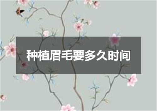 种植眉毛要多久时间