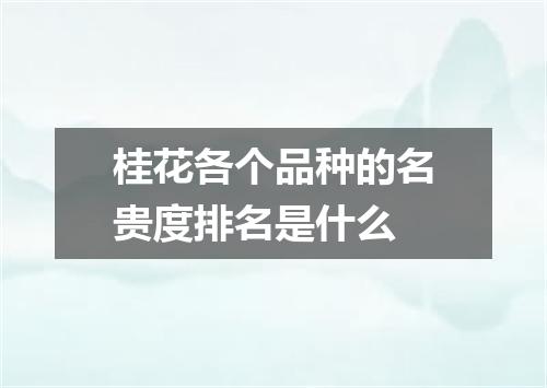 桂花各个品种的名贵度排名是什么