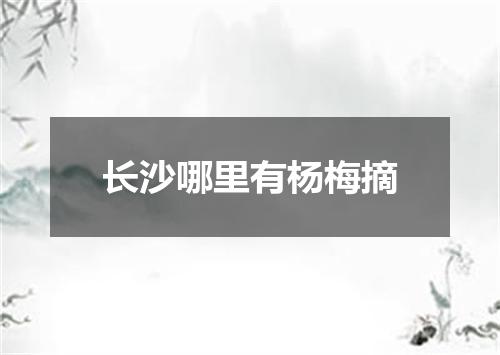 长沙哪里有杨梅摘