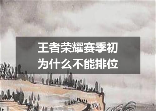 王者荣耀赛季初为什么不能排位