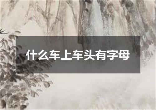什么车上车头有字母