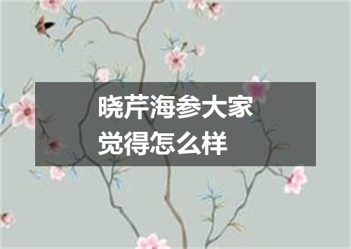 晓芹海参大家觉得怎么样