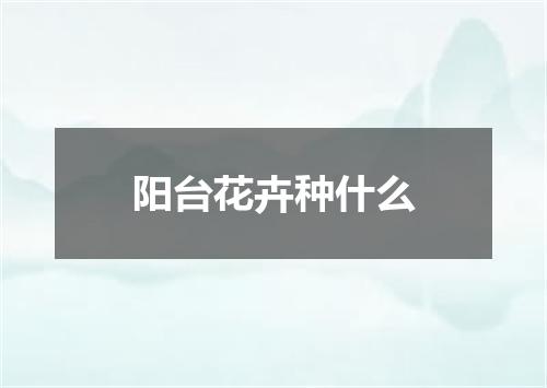 阳台花卉种什么