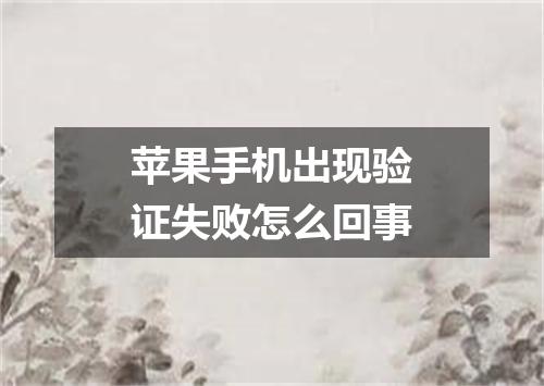 苹果手机出现验证失败怎么回事