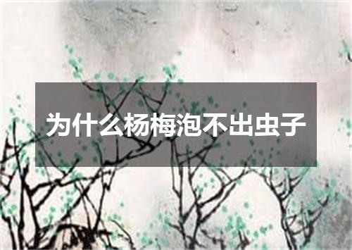 为什么杨梅泡不出虫子