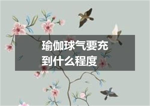 瑜伽球气要充到什么程度