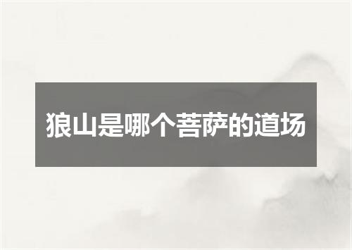 狼山是哪个菩萨的道场