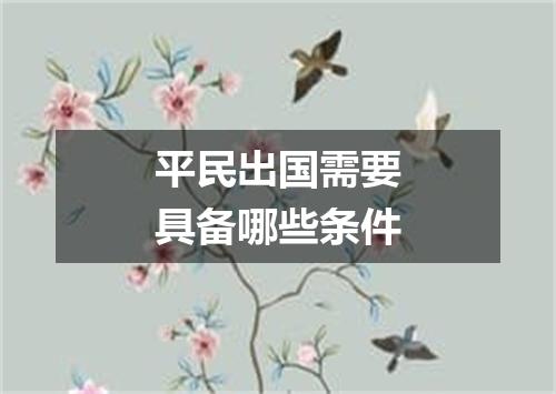 平民出国需要具备哪些条件