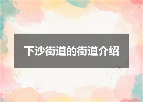 下沙街道的街道介绍