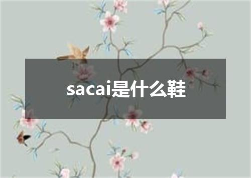 sacai是什么鞋