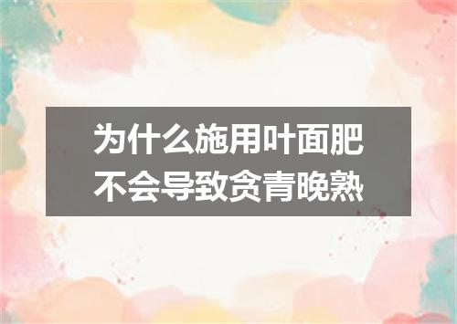 为什么施用叶面肥不会导致贪青晚熟
