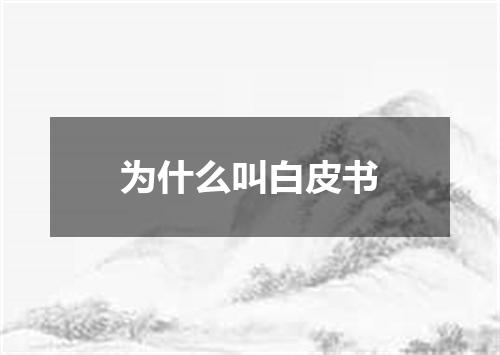 为什么叫白皮书
