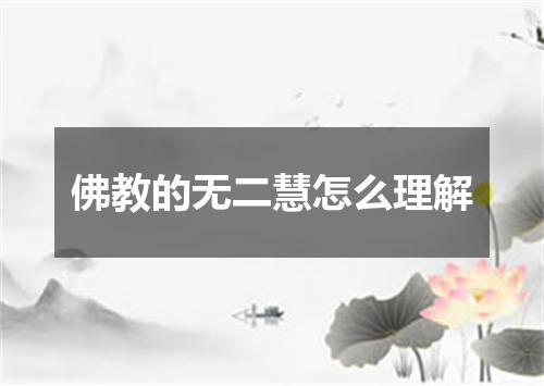 佛教的无二慧怎么理解