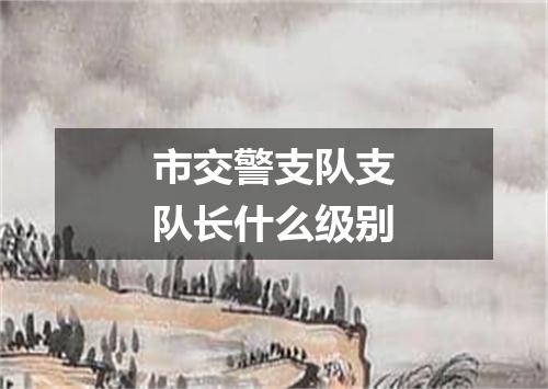市交警支队支队长什么级别