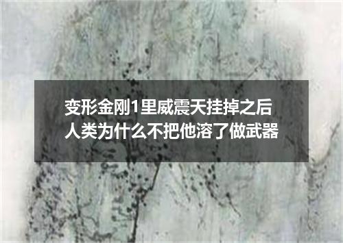 变形金刚1里威震天挂掉之后人类为什么不把他溶了做武器