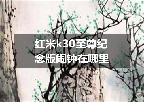 红米k30至尊纪念版闹钟在哪里